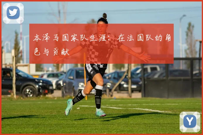 本泽马国家队生涯：在法国队的角色与贡献