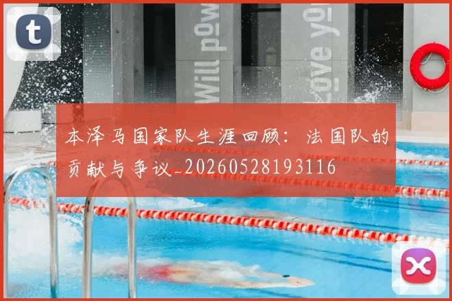 本泽马国家队生涯回顾：法国队的贡献与争议_20260528193116